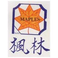 楓林及圖 MAPLES