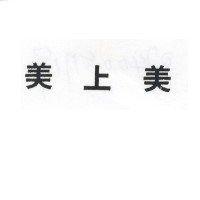 美上美