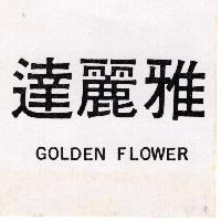 達麗雅 GOLDEN FLOWER