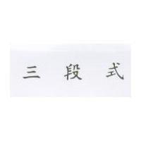 三段式