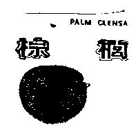 棕櫚