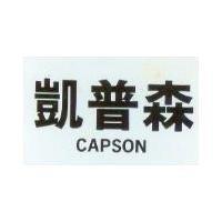 凱普森 CAPSON