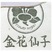 金花仙子及圖 FLOWER ANGEL