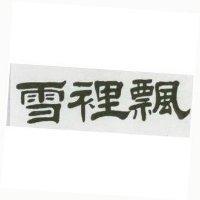 雪裡飄