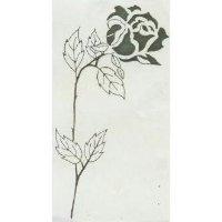花形圖