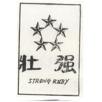 強壯及圖 STRONG BODY