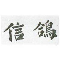 信鴿