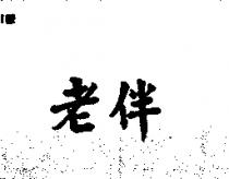 老伴