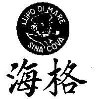 海格及圖 LUPO DI MARE SINA COVA