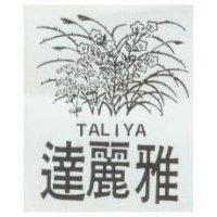 達麗雅及圖 TALIYA