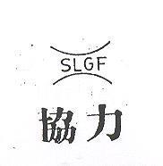 協力 SLGF
