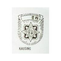 救星 KAUSING WITH LOGO