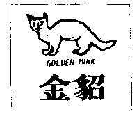 金貂 GOLDEN MINK 及圖