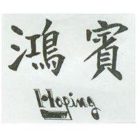 鴻賓及圖 HOPING