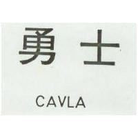 勇士 CAVLA