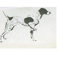 愛犬圖