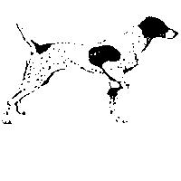 愛犬圖