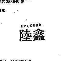 陸鑫 DELODUR