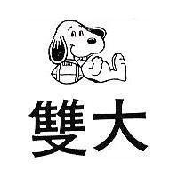 雙大及圖