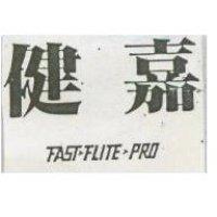 健嘉 FAST FLITE PRO