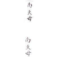 南天母