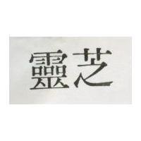 靈芝