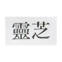 靈芝