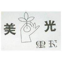 美光及圖