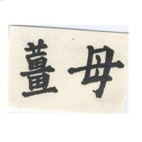 薑母