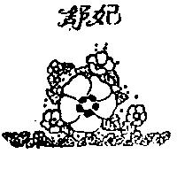 舒妃及圖