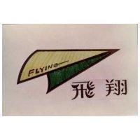 飛翔及圖 FLYING