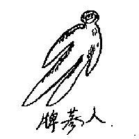 人蔘牌及圖