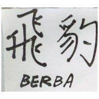 飛豹 BERBA