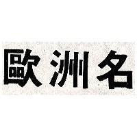 歐洲名