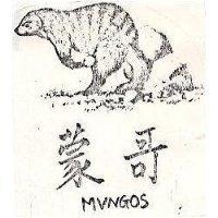 蒙哥及圖 MVNGOS