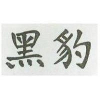 黑豹