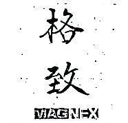 格致 MAGNEX