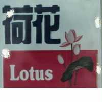 荷花 LOTUS 及圖