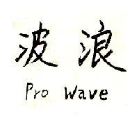波浪 Pro Wave