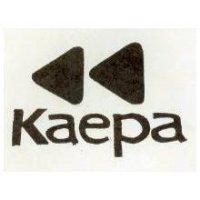 KAEPA AND TWIN TRIANGLE DEVICE