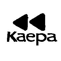 KAEPA AND TWIN TRIANGLE DEVICE