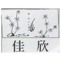 佳欣及圖