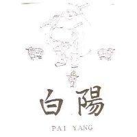 白陽及圖 PAI YANG