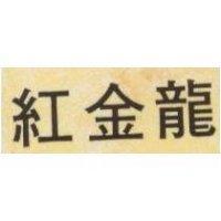 紅金龍