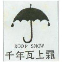 千年瓦上霜及圖 ROOFSNOW