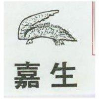 嘉生及圖