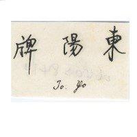 東陽牌 TO YO