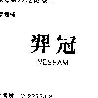 羿冠 NESEAM