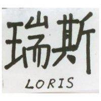 瑞斯 LORIS
