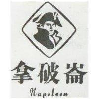 拿破崙及圖 NAPOLEON